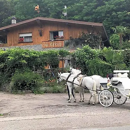 Al Cervo Tra I Laghi Tavernerio