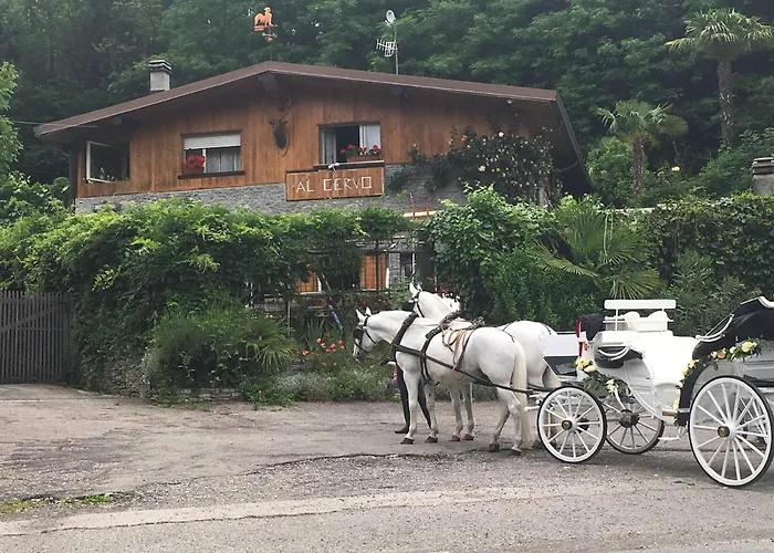 Al Cervo Tra I Laghi